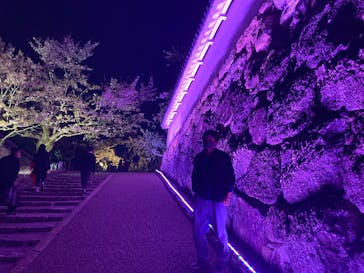 姫路城（イベント）に投稿された画像（2022/4/9）