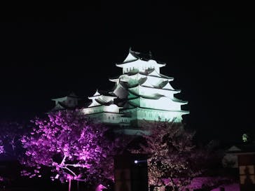 姫路城（イベント）に投稿された画像（2022/4/9）