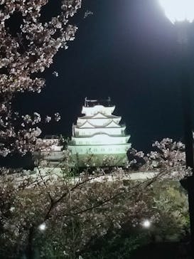 姫路城（イベント）に投稿された画像（2022/4/9）