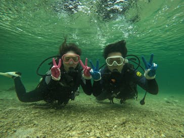 武藤潜水に投稿された画像（2022/4/9）