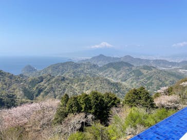 伊豆パノラマパークに投稿された画像（2022/4/9）