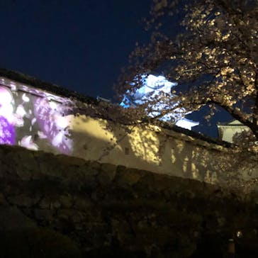 姫路城（イベント）に投稿された画像（2022/4/10）