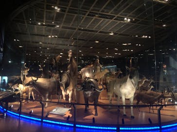 国立科学博物館に投稿された画像（2022/4/10）