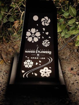 NAKED FLOWERS 2022 -桜- 世界遺産・二条城に投稿された画像（2022/4/10）