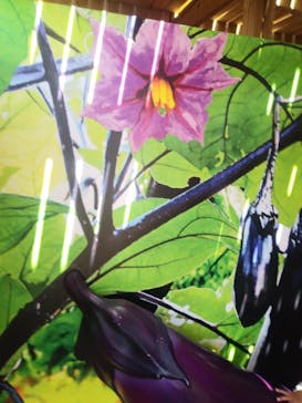 鈴鹿サーキットに投稿された画像（2022/4/10）