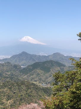 伊豆パノラマパークに投稿された画像（2022/4/10）