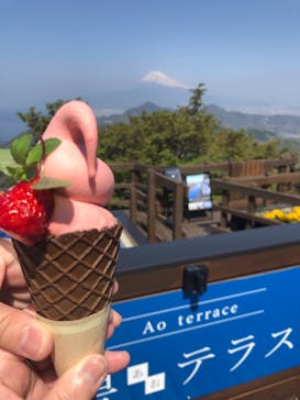 伊豆パノラマパークに投稿された画像（2022/4/10）