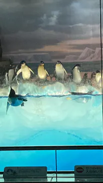 名古屋港水族館に投稿された画像（2022/4/10）