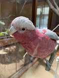 東武動物公園に投稿された画像（2022/4/10）