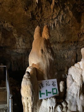 石垣島鍾乳洞に投稿された画像（2022/4/10）