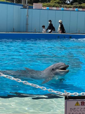 南知多ビーチランド＆南知多おもちゃ王国に投稿された画像（2022/4/10）