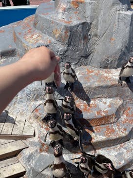 南知多ビーチランド＆南知多おもちゃ王国に投稿された画像（2022/4/10）