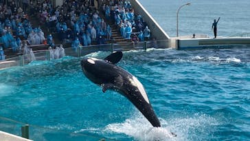 鴨川シーワールドに投稿された画像（2022/4/10）