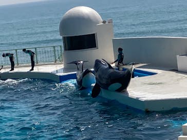 鴨川シーワールドに投稿された画像（2022/4/10）