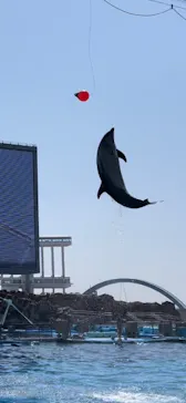 名古屋港水族館に投稿された画像（2022/4/10）
