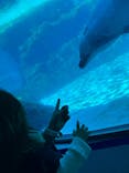 名古屋港水族館に投稿された画像（2022/4/10）