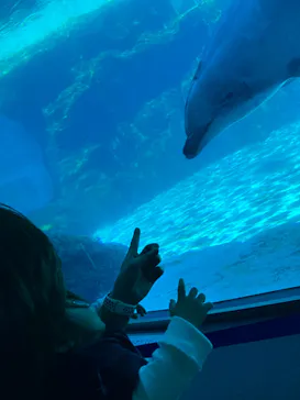名古屋港水族館に投稿された画像（2022/4/10）