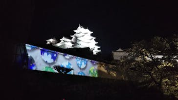 姫路城（イベント）に投稿された画像（2022/4/10）