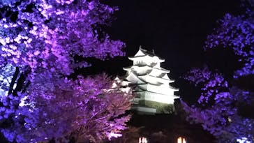 姫路城（イベント）に投稿された画像（2022/4/10）