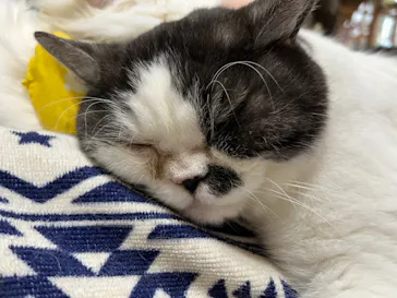 神戸どうぶつ王国に投稿された画像（2022/4/10）