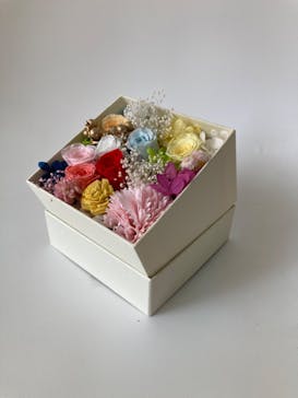 ずこうしつ〜sugamo〜に投稿された画像（2022/4/10）