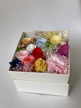 ずこうしつ〜sugamo〜に投稿された画像（2022/4/10）