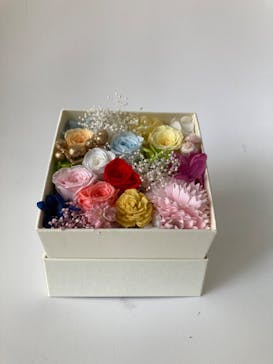 ずこうしつ〜sugamo〜に投稿された画像（2022/4/10）