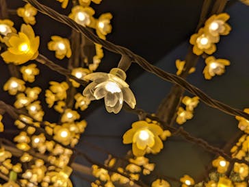 東京メガイルミに投稿された画像（2022/4/10）