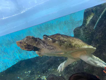 天王寺動物園に投稿された画像（2022/4/10）