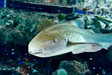 マクセル アクアパーク品川に投稿された画像（2022/4/10）