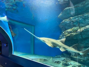 マクセル アクアパーク品川に投稿された画像（2022/4/10）