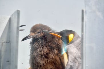 マクセル アクアパーク品川に投稿された画像（2022/4/10）