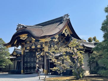 元離宮二条城に投稿された画像（2022/4/10）