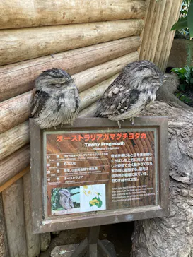 神戸どうぶつ王国に投稿された画像（2022/4/10）