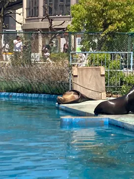 天王寺動物園に投稿された画像（2022/4/10）