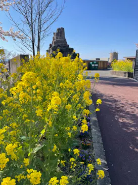 ひらかたパークに投稿された画像（2022/4/10）