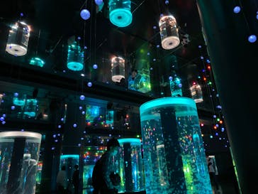 マクセル アクアパーク品川に投稿された画像（2022/4/10）