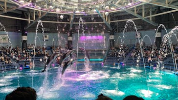 マクセル アクアパーク品川に投稿された画像（2022/4/10）