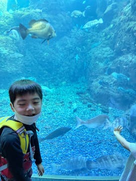 新江ノ島水族館に投稿された画像（2022/4/10）