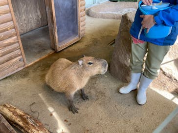 新江ノ島水族館に投稿された画像（2022/4/10）