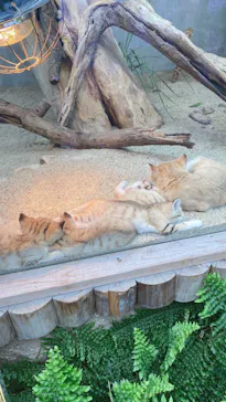 神戸どうぶつ王国に投稿された画像（2022/4/10）