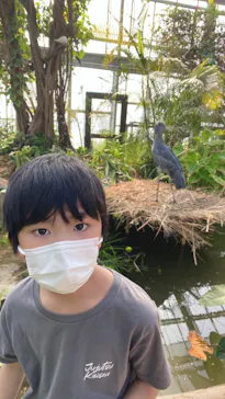 神戸どうぶつ王国に投稿された画像（2022/4/10）