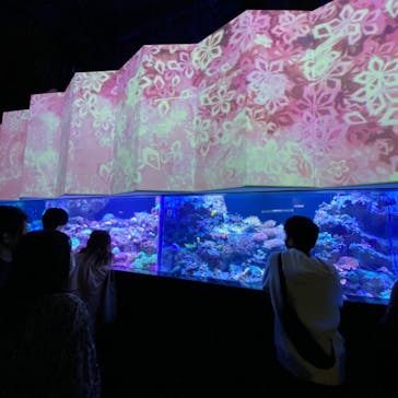 マクセル アクアパーク品川に投稿された画像（2022/4/10）