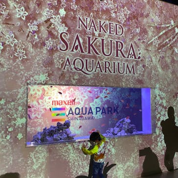マクセル アクアパーク品川に投稿された画像（2022/4/10）