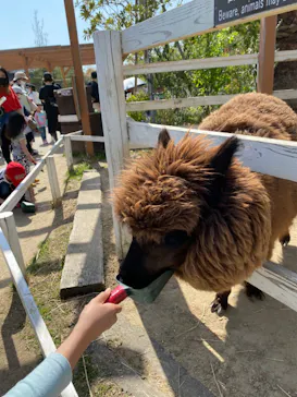 神戸どうぶつ王国に投稿された画像（2022/4/10）