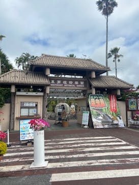 美らヤシパークオキナワ・東南植物楽園に投稿された画像（2022/4/10）