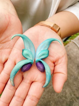 美らヤシパークオキナワ・東南植物楽園に投稿された画像（2022/4/10）