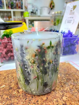 ずこうしつ〜sugamo〜に投稿された画像（2022/4/10）