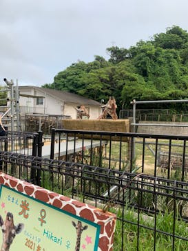 沖縄こどもの国に投稿された画像（2022/4/10）