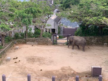 沖縄こどもの国に投稿された画像（2022/4/10）